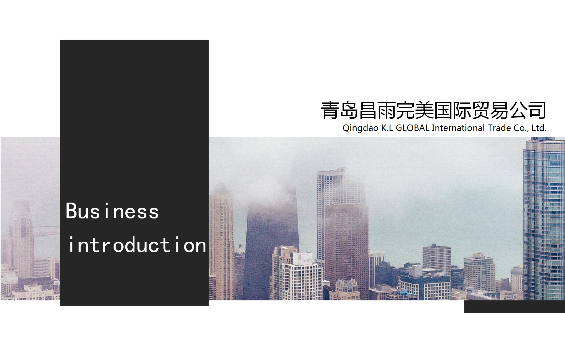 公司簡(jiǎn)介(圖26)