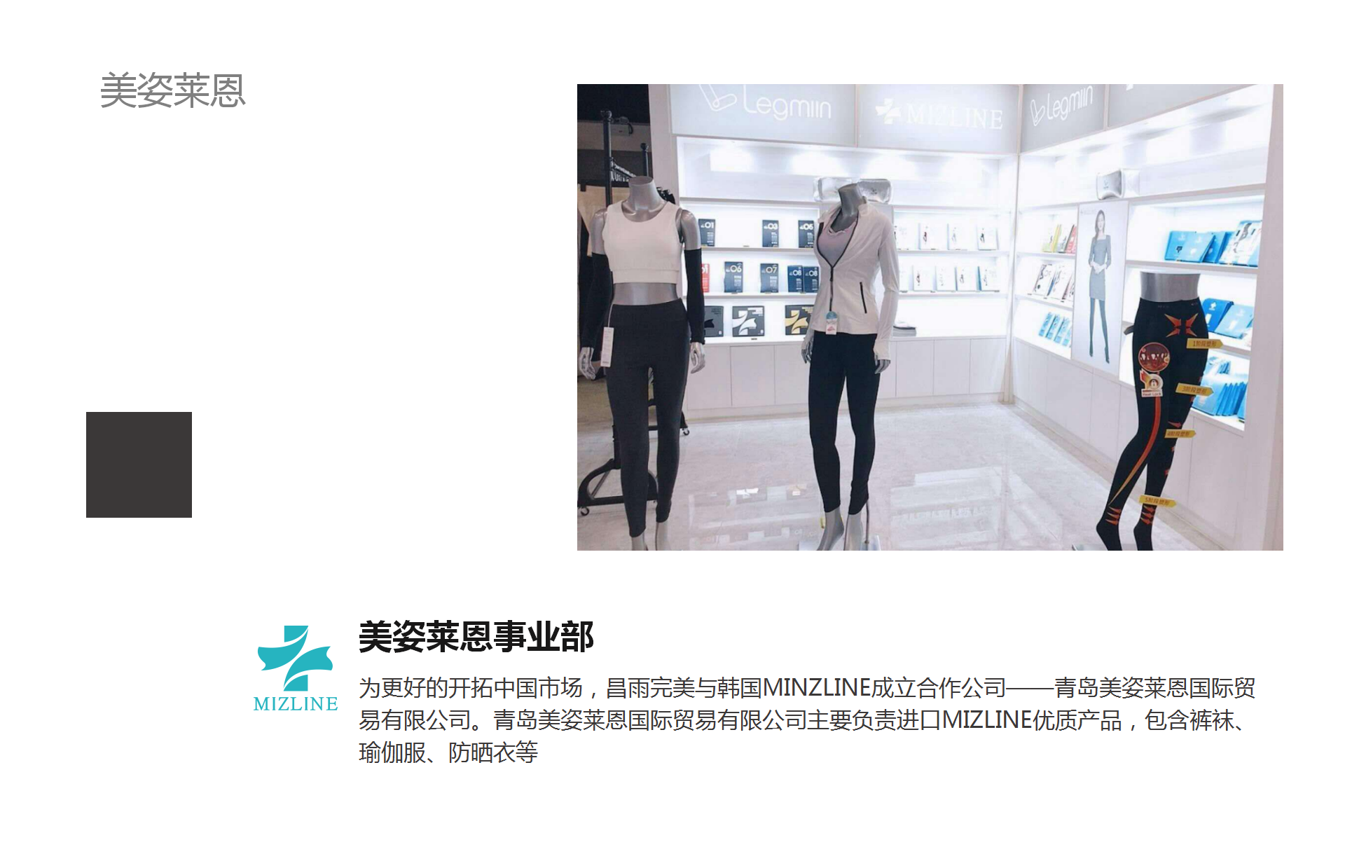 公司簡(jiǎn)介(圖35)